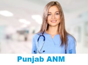 Punjab ANM 2024